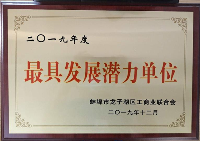 2019年最具潛力發展單位